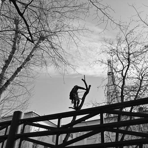 Photo #13742533