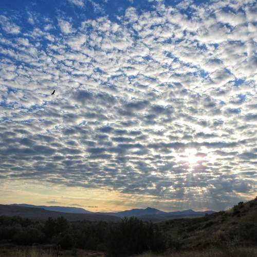 Photo #13742537
