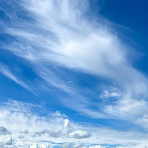 Photo #13742542