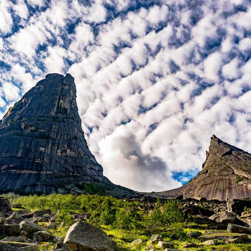 Photo #13742544
