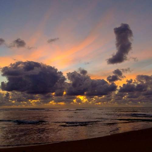 Photo #13742547
