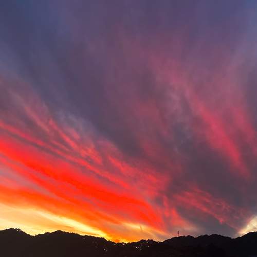 Photo #13742549