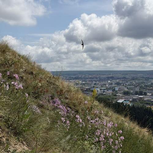 Photo #13742575