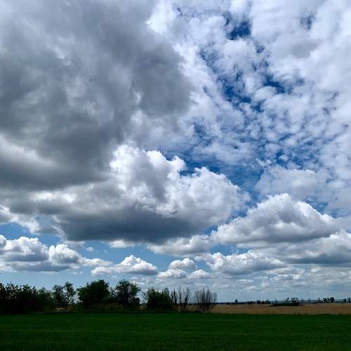 Photo #13742581