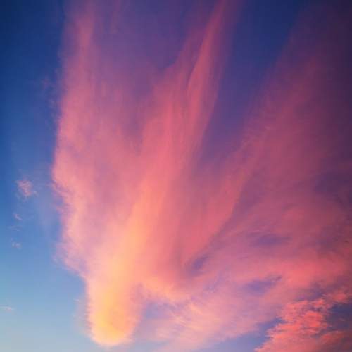 Photo #13742583