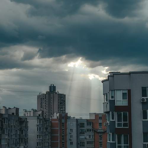 Photo #13742584