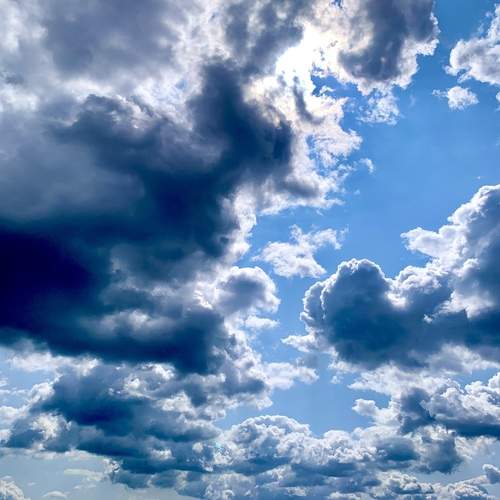 Photo #13742586