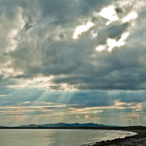 Photo #13742589