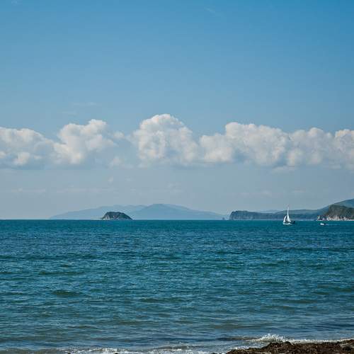 Photo #13742590