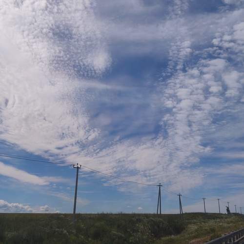 Photo #13742593