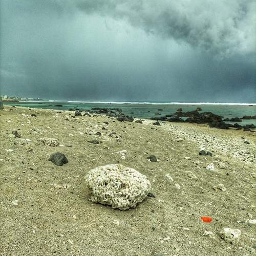 Photo #13742594