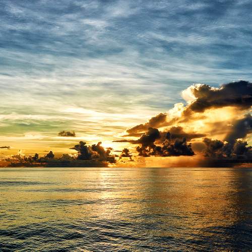 Photo #13742599