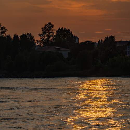 Photo #13742668
