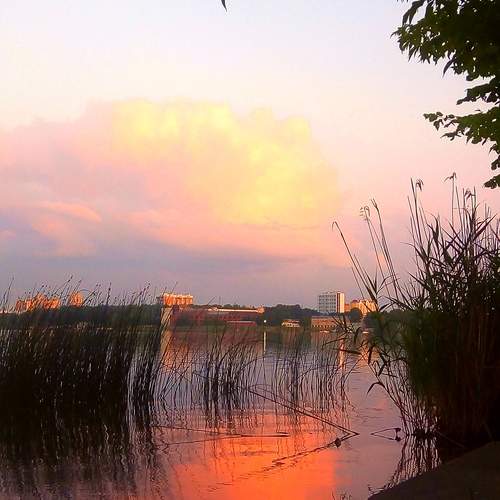 Photo #13742669