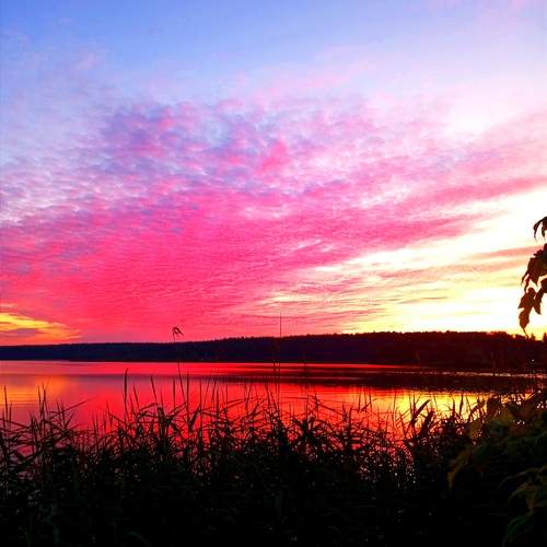 Photo #13742670