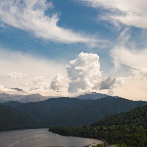 Photo #13742702