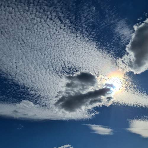 Photo #13742720
