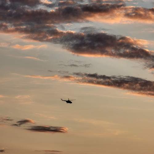 Photo #13742722