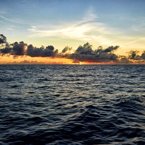 Photo #13742727
