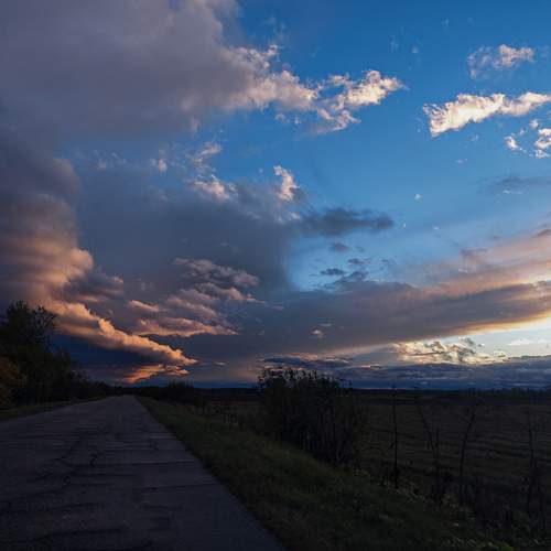 Photo #13742733