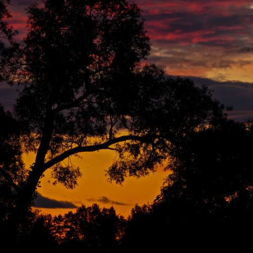 Photo #13742734