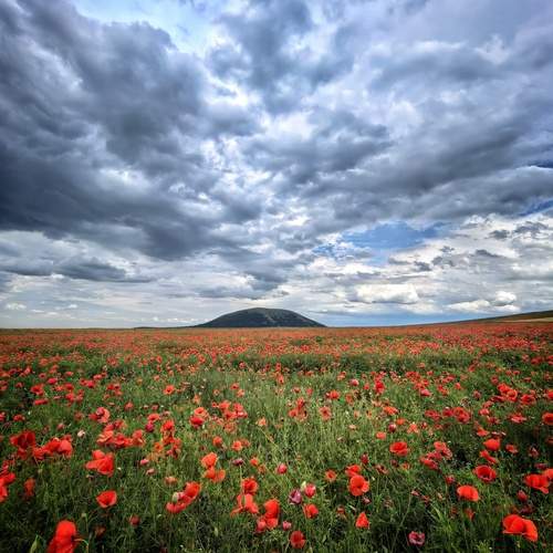Photo #13742750