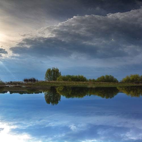Photo #13742828