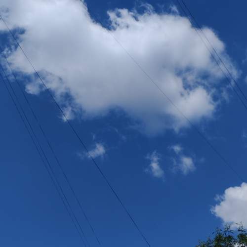 Photo #13742856