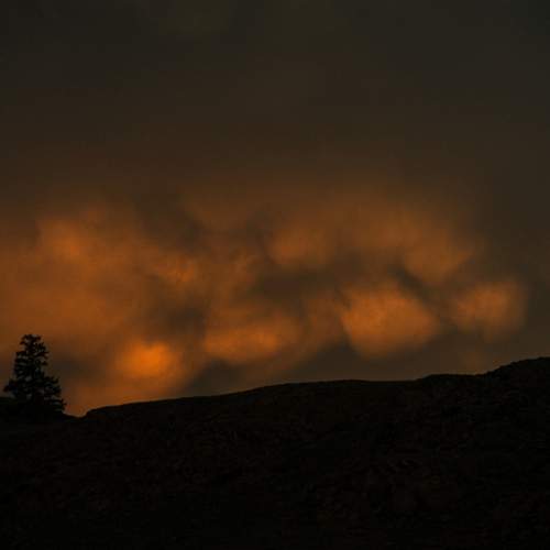 Photo #13742871