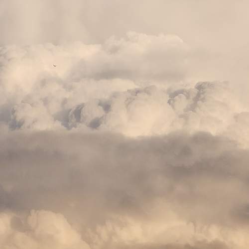 Photo #13742903