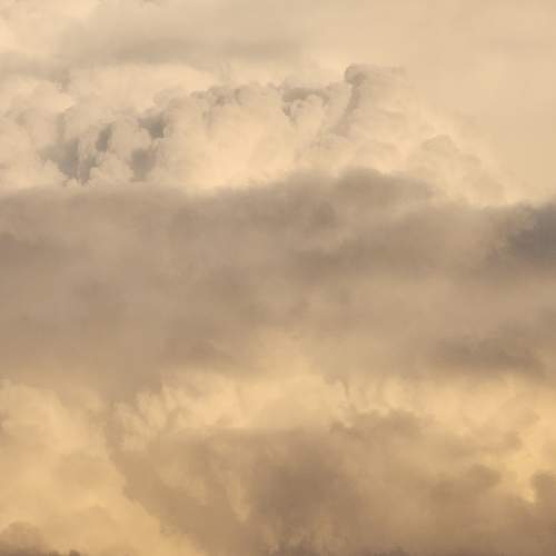 Photo #13742904