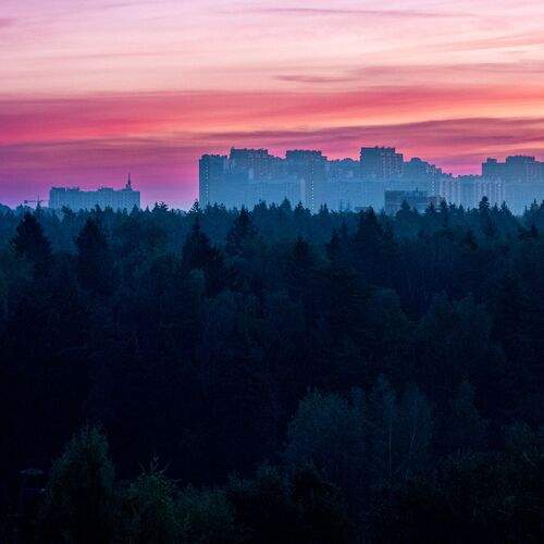 Photo #13742931