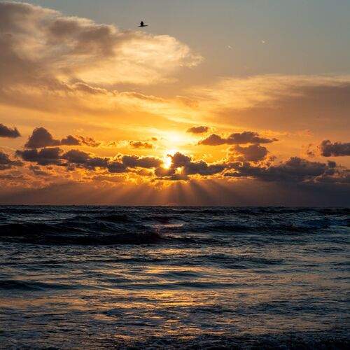 Photo #13742932