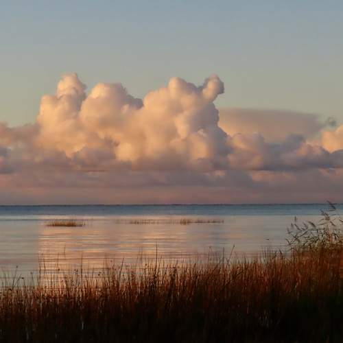 Photo #13742935