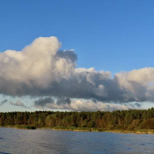 Photo #13742956