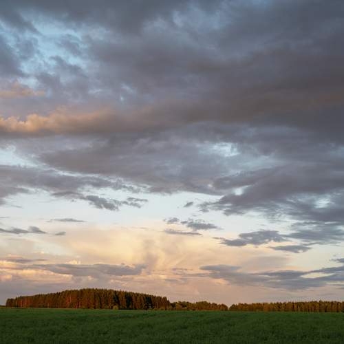 Photo #13742989