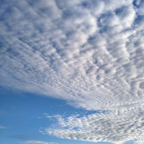Photo #13743002