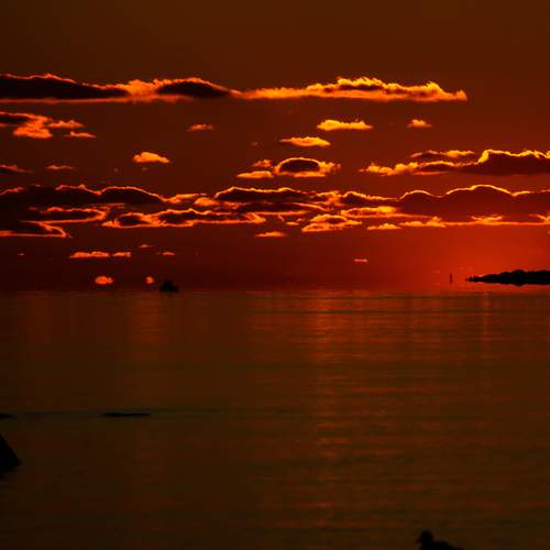 Photo #13743011