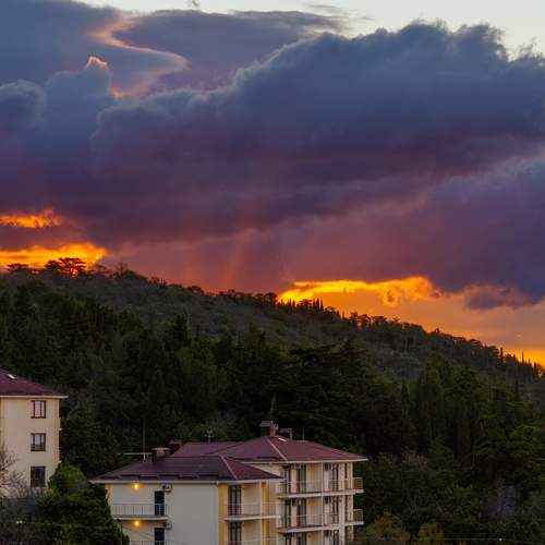 Photo #13743024