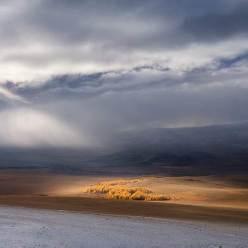 Photo #13743052