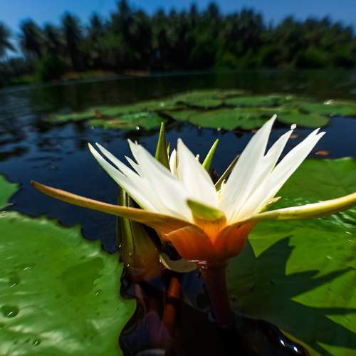 Photo #13743077