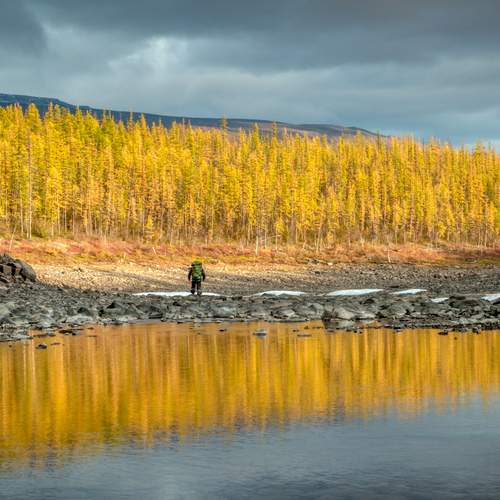 Photo #13743119