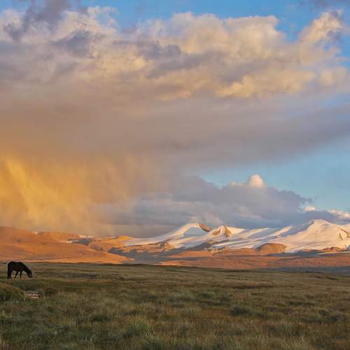 Photo #13743156