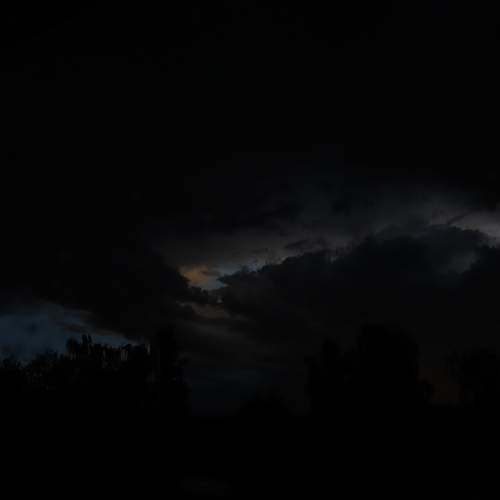 Photo #13743250