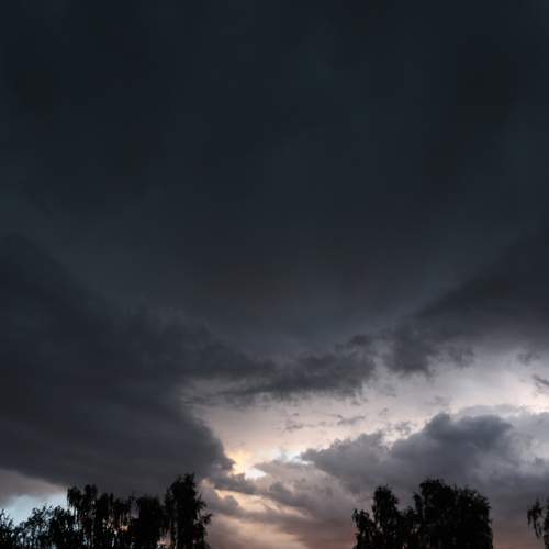 Photo #13743253