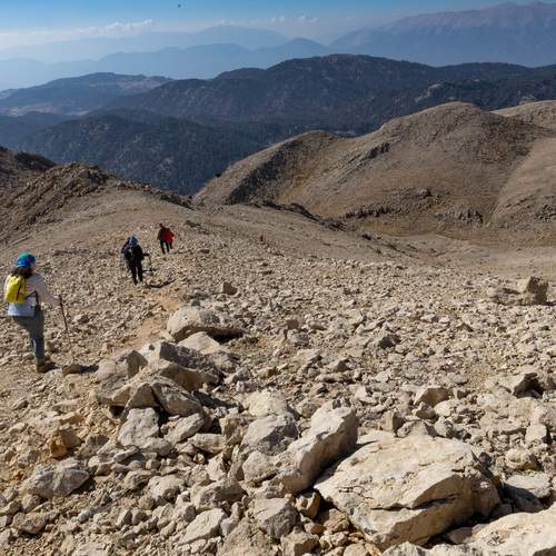 Photo #13743256
