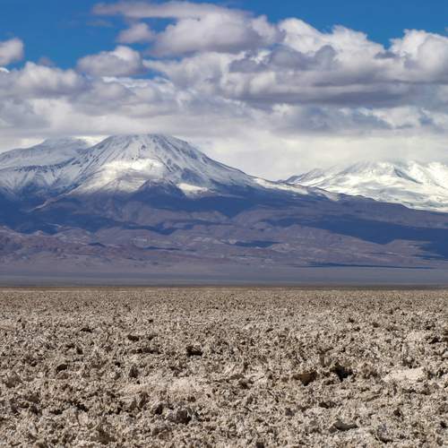 Photo #13743285