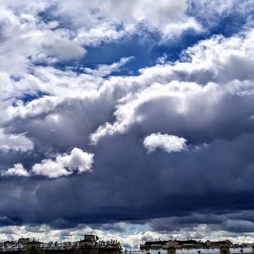 Photo #13743305