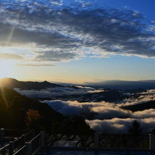 Photo #13743315