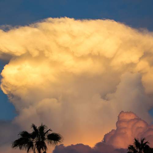 Photo #13743332